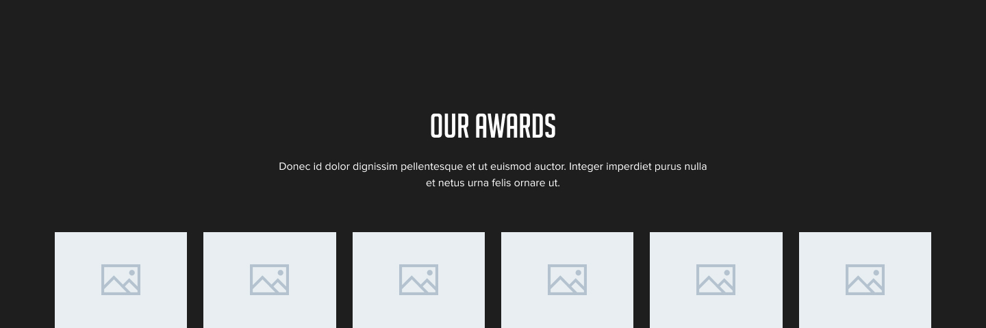 logo-gallery-with-image logo-gallery with image